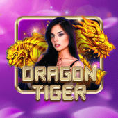 Dragon Tiger Spin Time casino